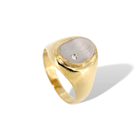 Ringe Idee Preziose dal 1987 Herr in Gelbgold Zircone IP.AK18M/27
